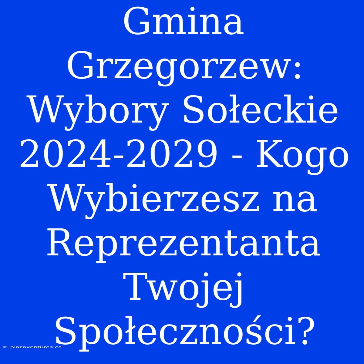 Gmina Grzegorzew: Wybory Sołeckie 2024-2029 - Kogo Wybierzesz Na Reprezentanta Twojej Społeczności?