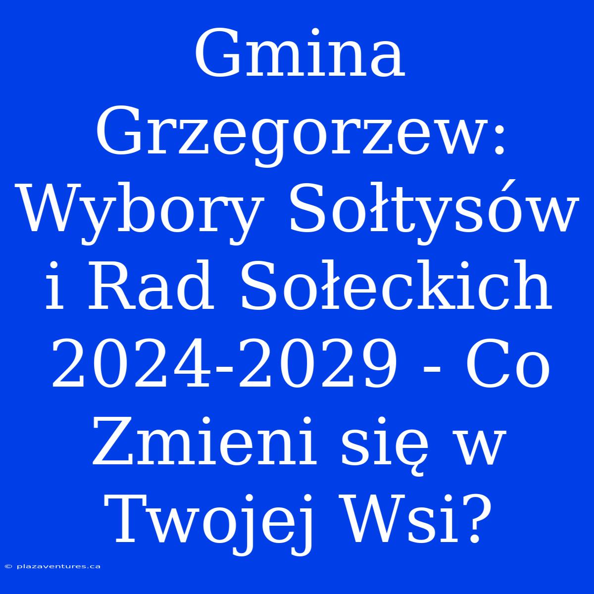 Gmina Grzegorzew: Wybory Sołtysów I Rad Sołeckich 2024-2029 - Co Zmieni Się W Twojej Wsi?