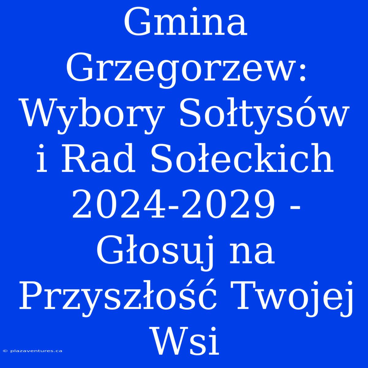 Gmina Grzegorzew: Wybory Sołtysów I Rad Sołeckich 2024-2029 - Głosuj Na Przyszłość Twojej Wsi