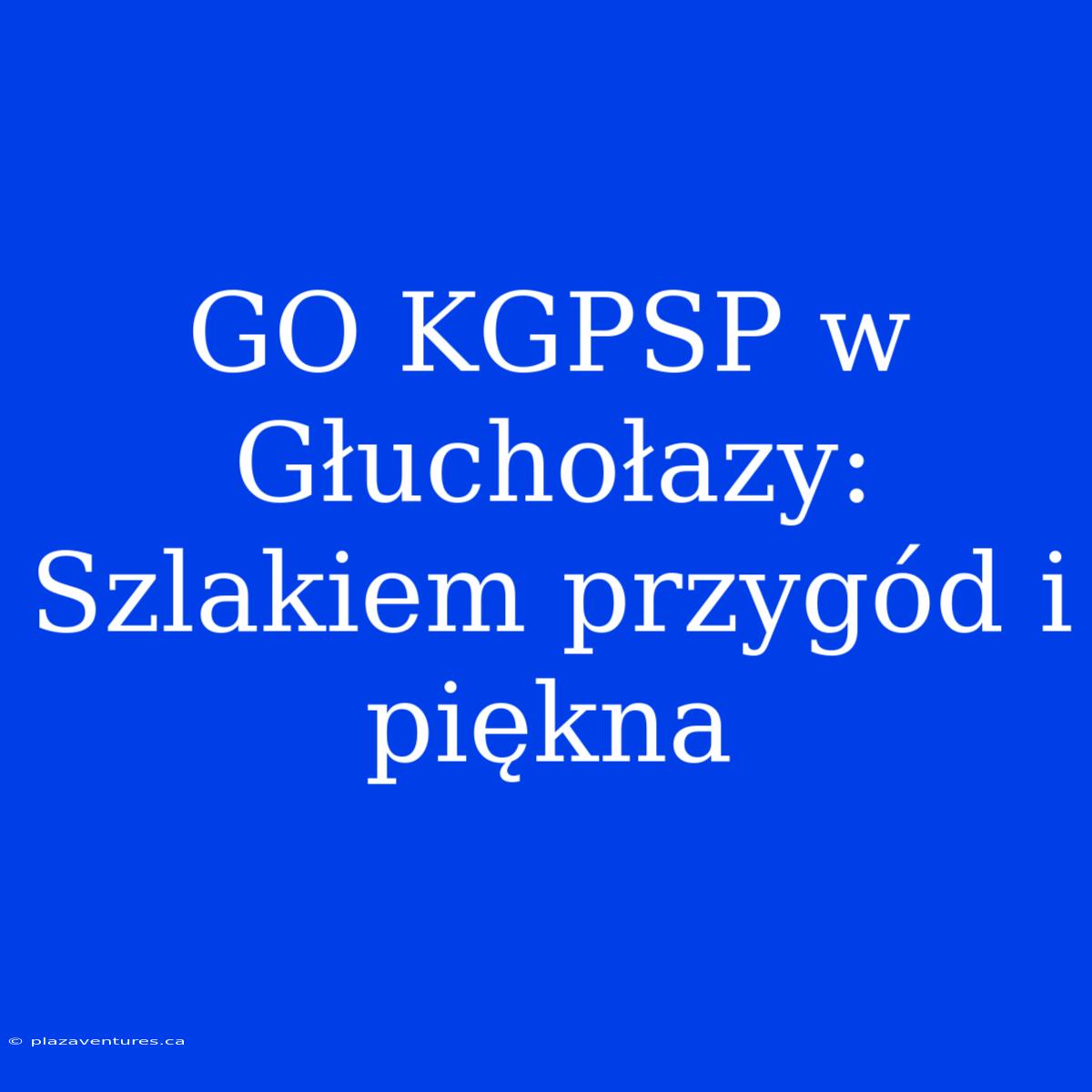 GO KGPSP W Głuchołazy: Szlakiem Przygód I Piękna