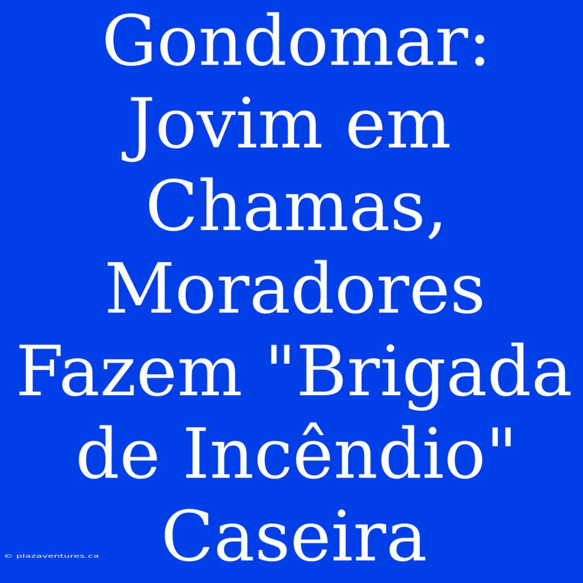 Gondomar: Jovim Em Chamas, Moradores Fazem 