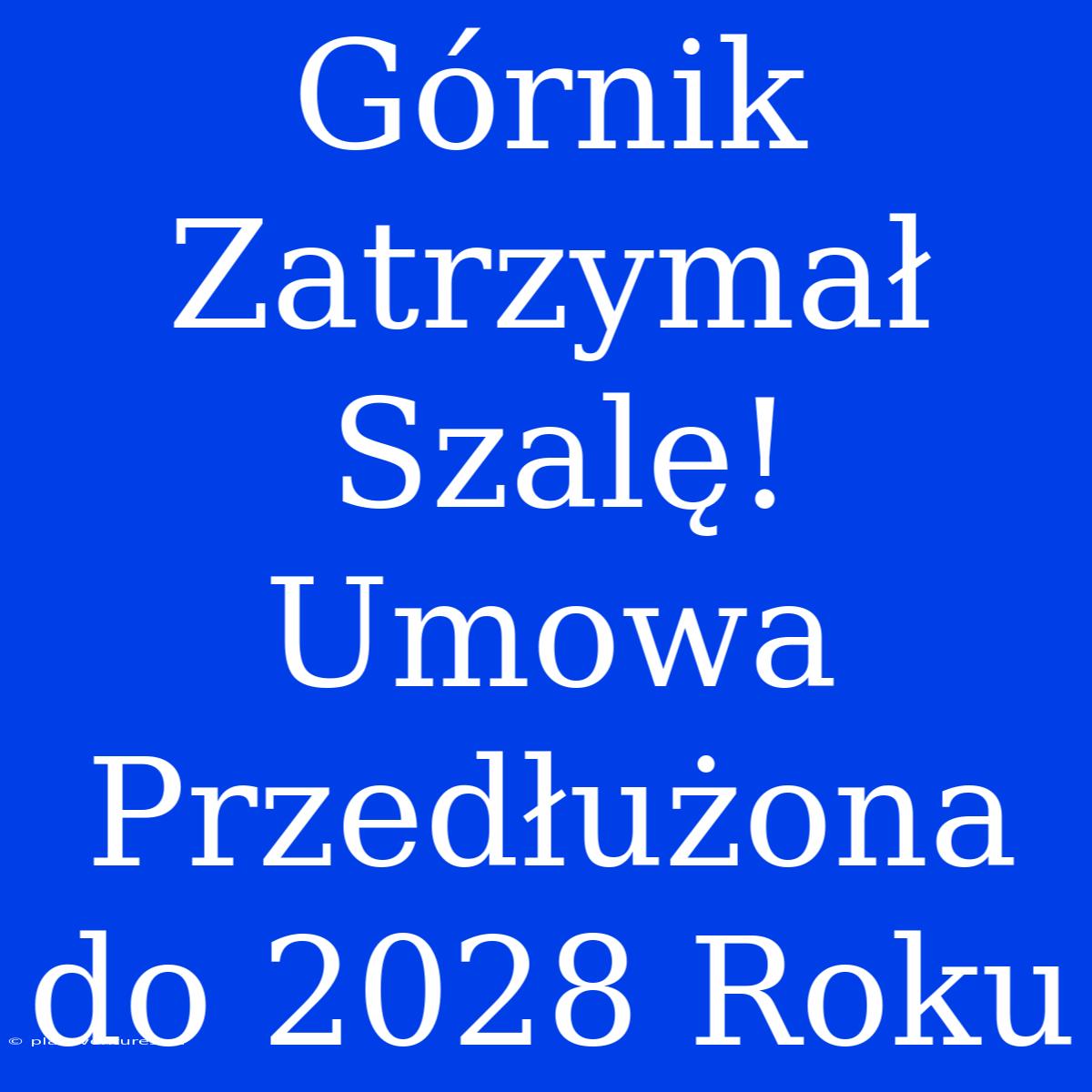 Górnik Zatrzymał Szalę! Umowa Przedłużona Do 2028 Roku