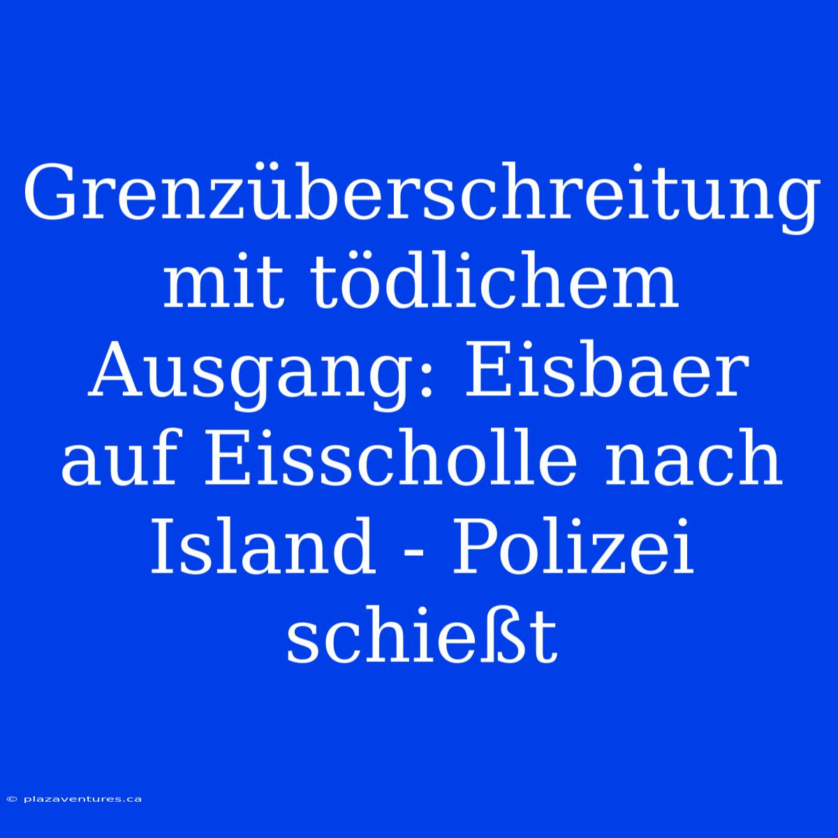 Grenzüberschreitung Mit Tödlichem Ausgang: Eisbaer Auf Eisscholle Nach Island - Polizei Schießt