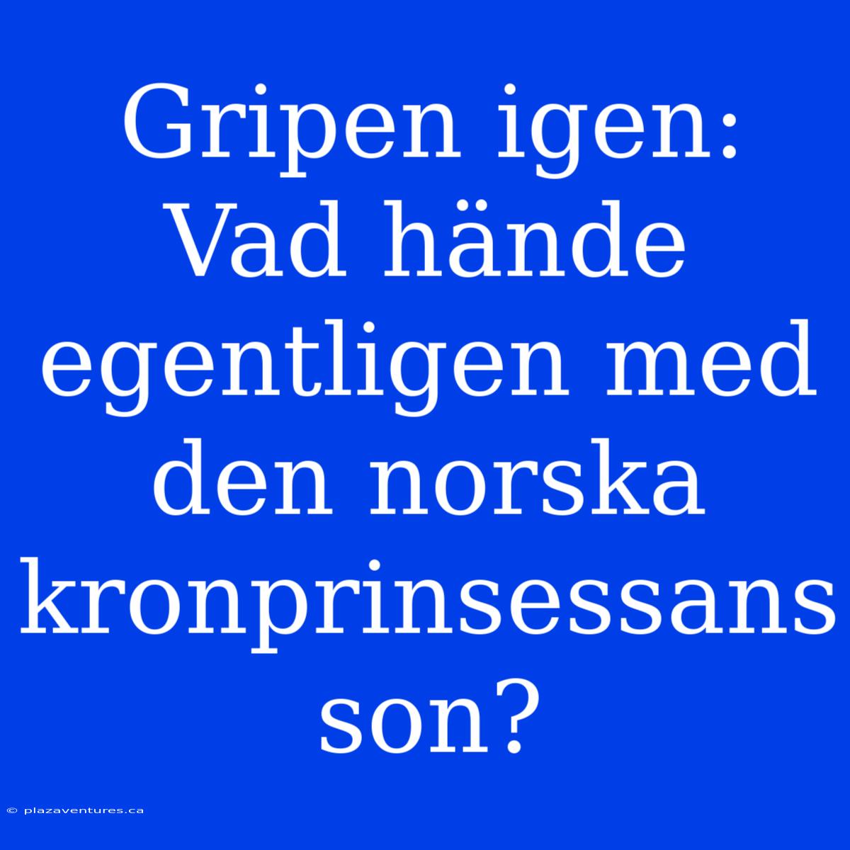 Gripen Igen: Vad Hände Egentligen Med Den Norska Kronprinsessans Son?