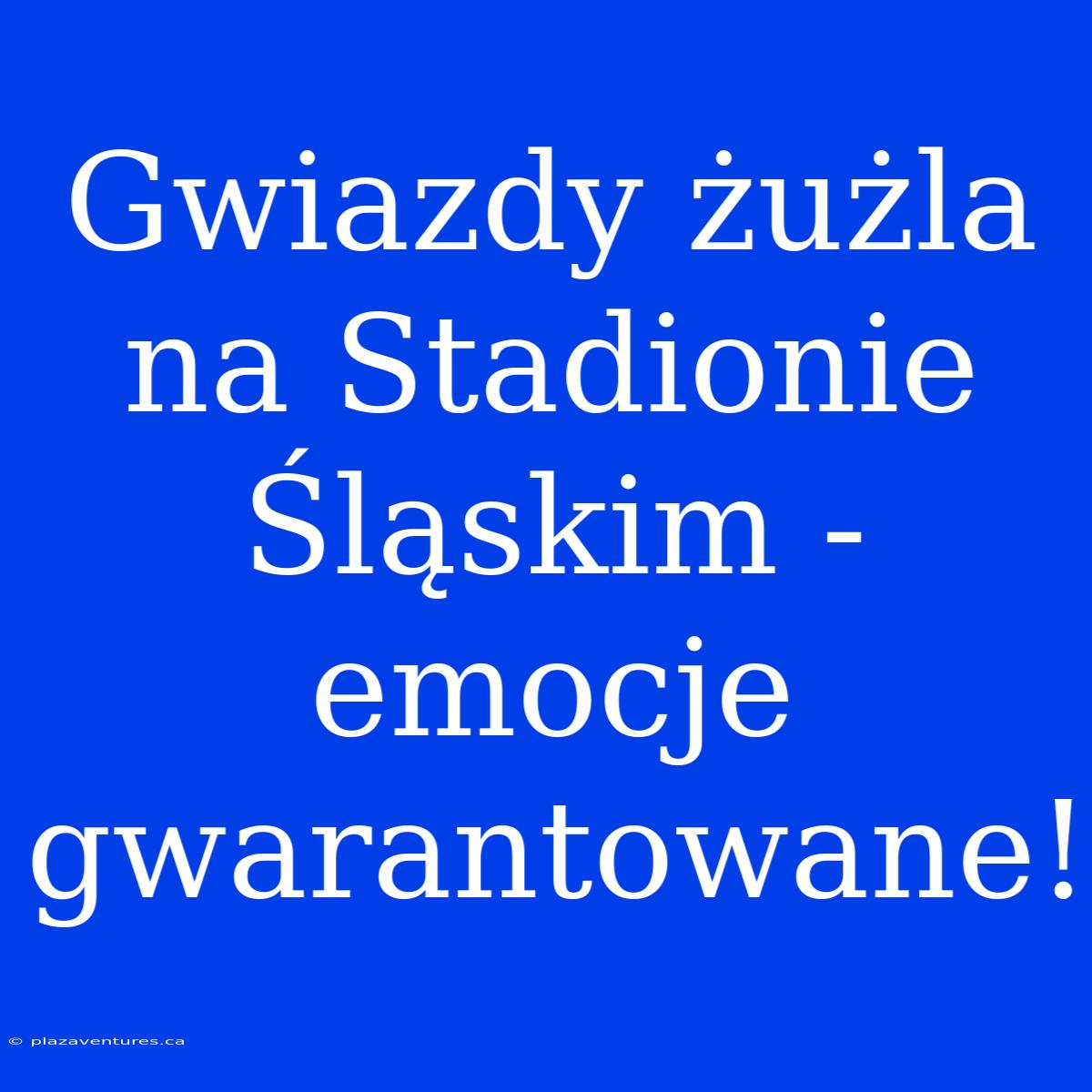 Gwiazdy Żużla Na Stadionie Śląskim - Emocje Gwarantowane!