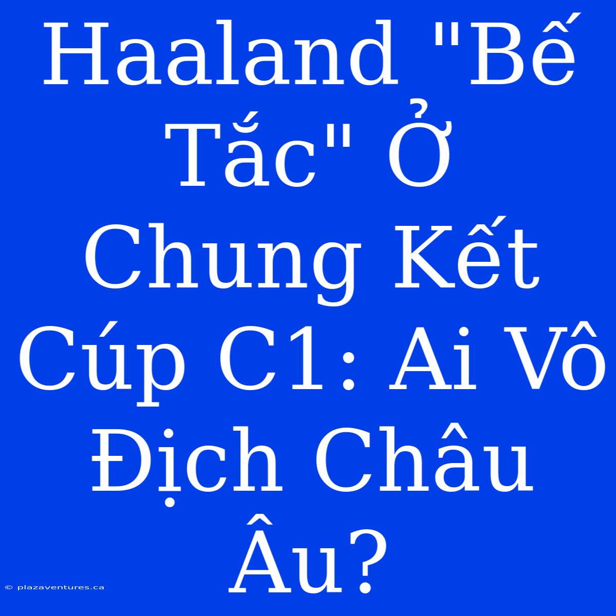 Haaland 