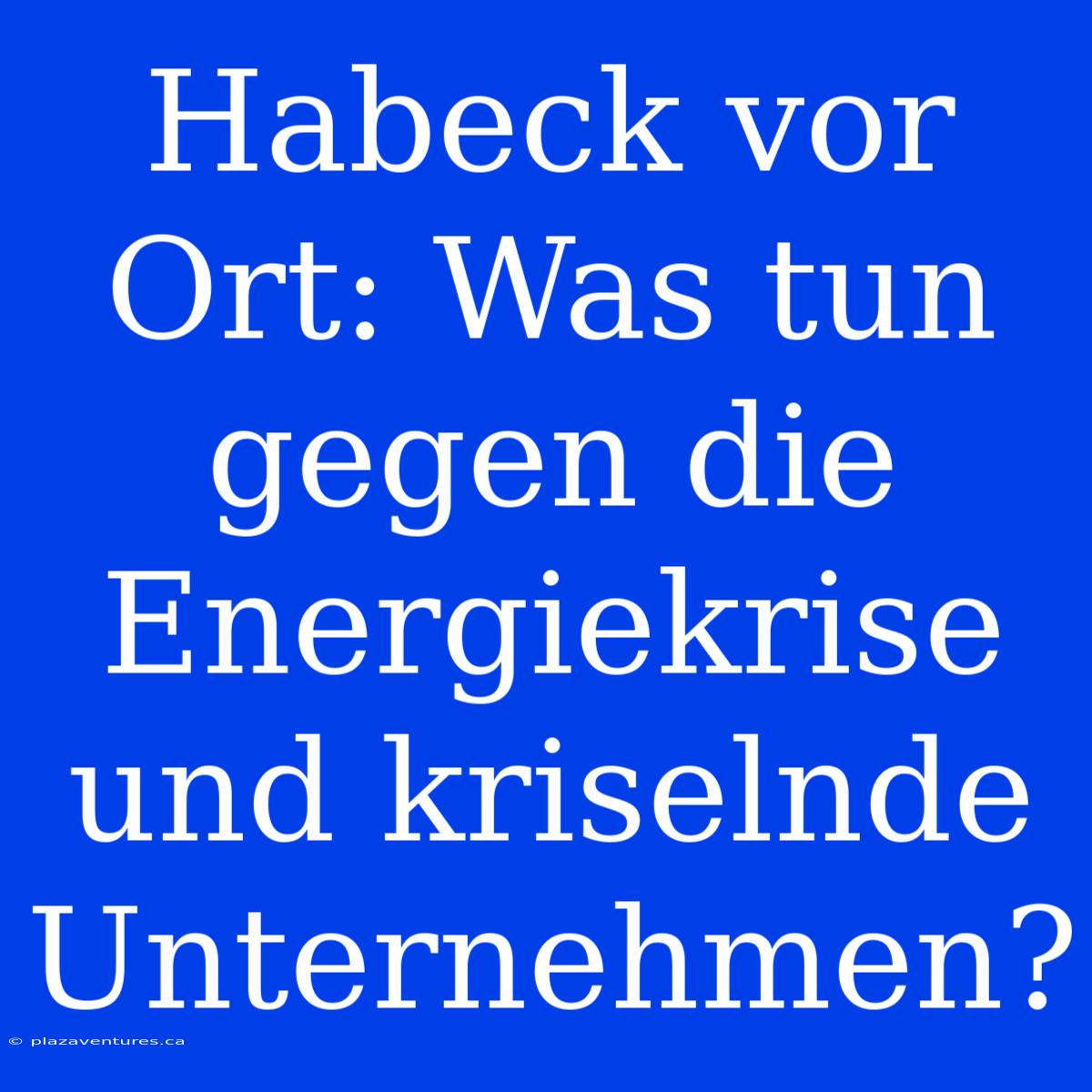 Habeck Vor Ort: Was Tun Gegen Die Energiekrise Und Kriselnde Unternehmen?