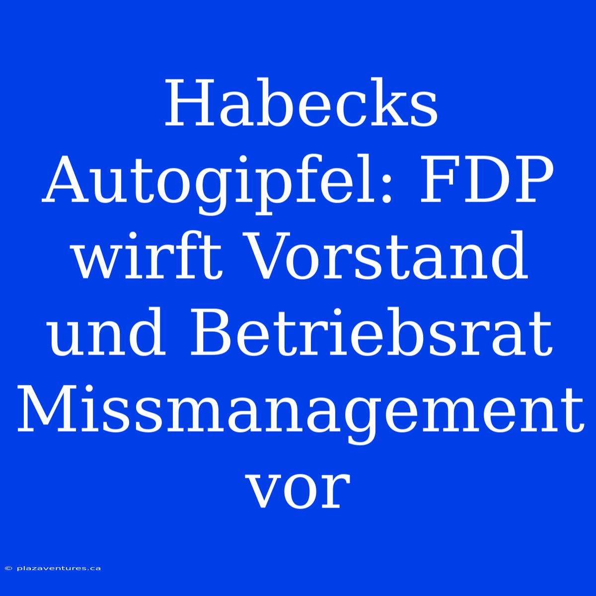 Habecks Autogipfel: FDP Wirft Vorstand Und Betriebsrat Missmanagement Vor