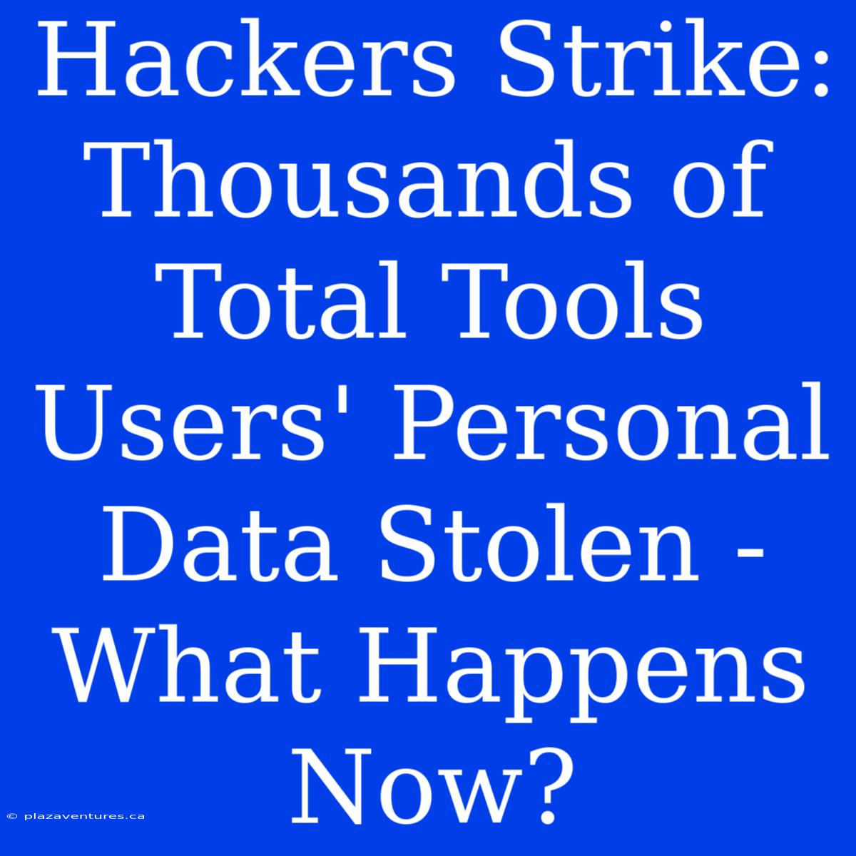 Hackers Strike:  Thousands Of Total Tools Users' Personal Data Stolen - What Happens Now?