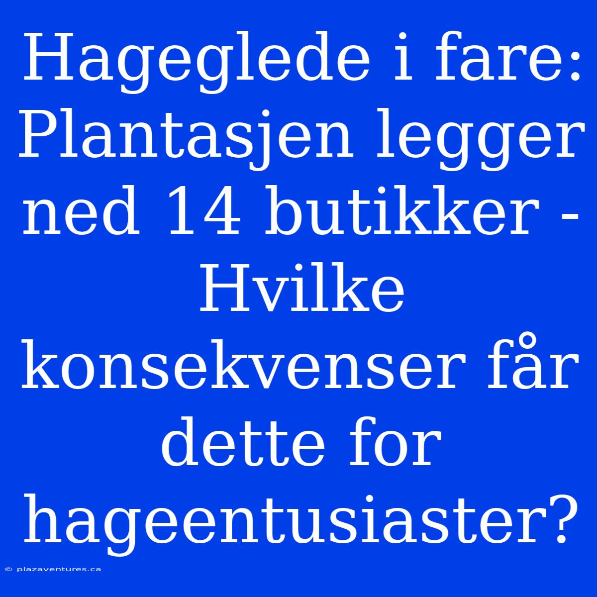 Hageglede I Fare: Plantasjen Legger Ned 14 Butikker - Hvilke Konsekvenser Får Dette For Hageentusiaster?