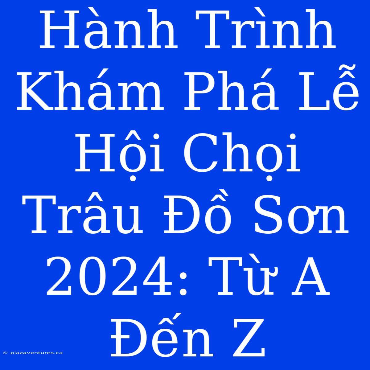 Hành Trình Khám Phá Lễ Hội Chọi Trâu Đồ Sơn 2024: Từ A Đến Z