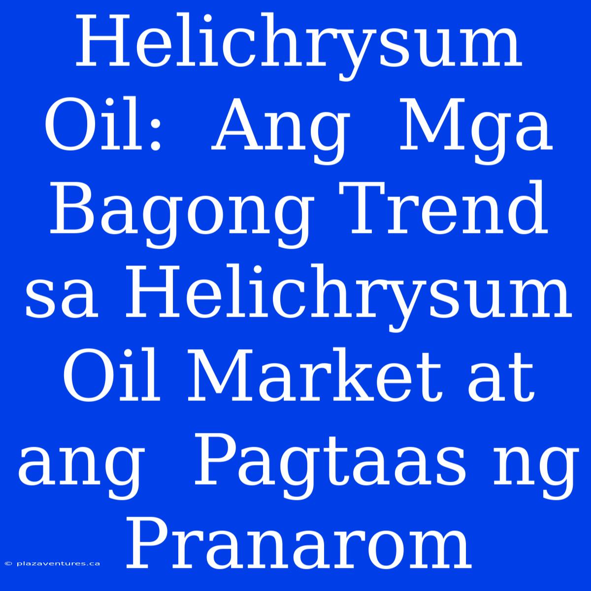 Helichrysum Oil:  Ang  Mga  Bagong Trend Sa Helichrysum Oil Market At Ang  Pagtaas Ng Pranarom