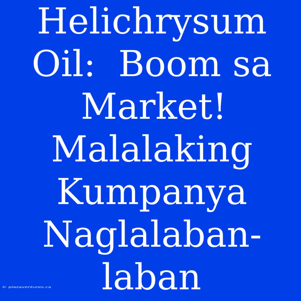 Helichrysum Oil:  Boom Sa Market! Malalaking Kumpanya Naglalaban-laban