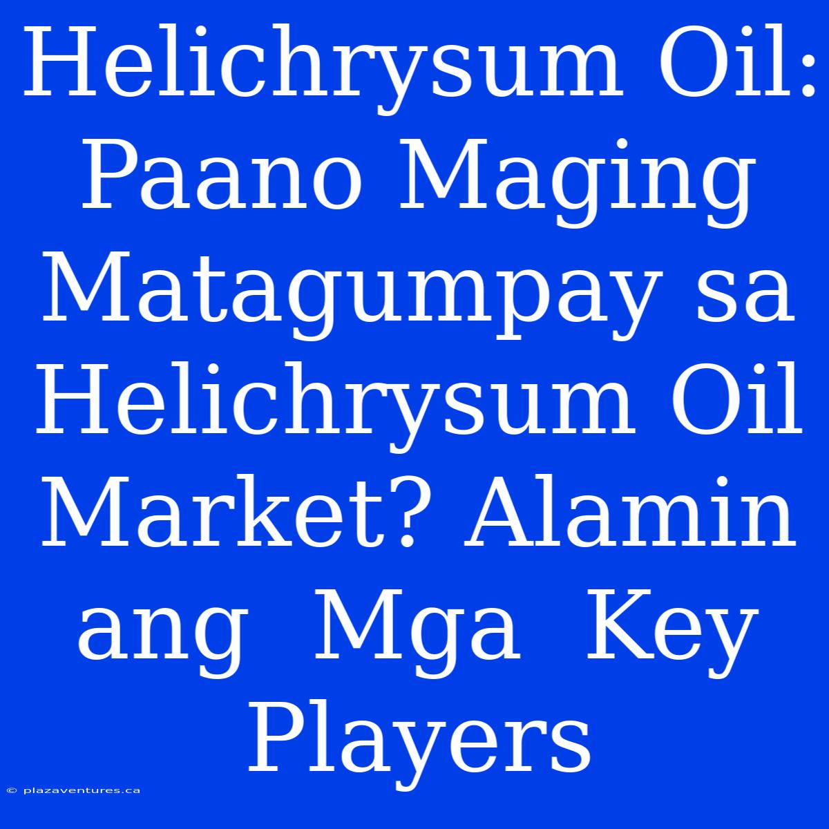 Helichrysum Oil:  Paano Maging  Matagumpay Sa Helichrysum Oil Market? Alamin Ang  Mga  Key Players