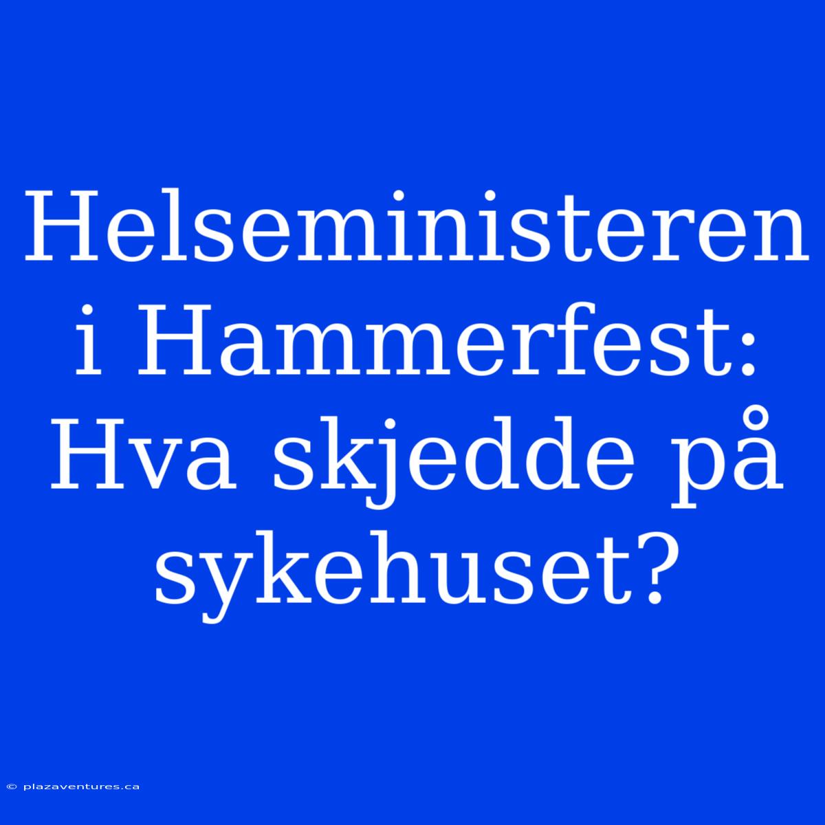 Helseministeren I Hammerfest: Hva Skjedde På Sykehuset?