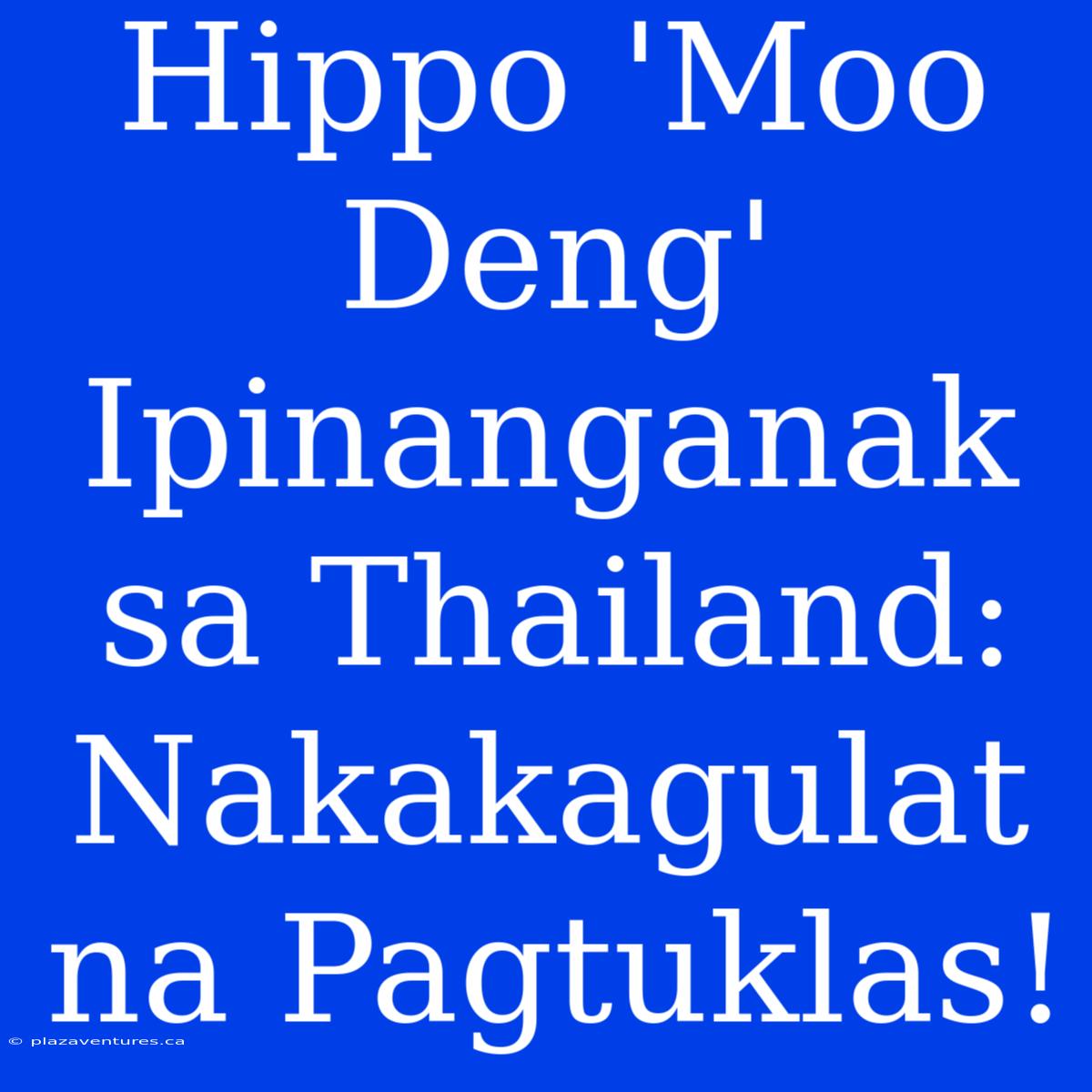 Hippo 'Moo Deng' Ipinanganak Sa Thailand: Nakakagulat Na Pagtuklas!