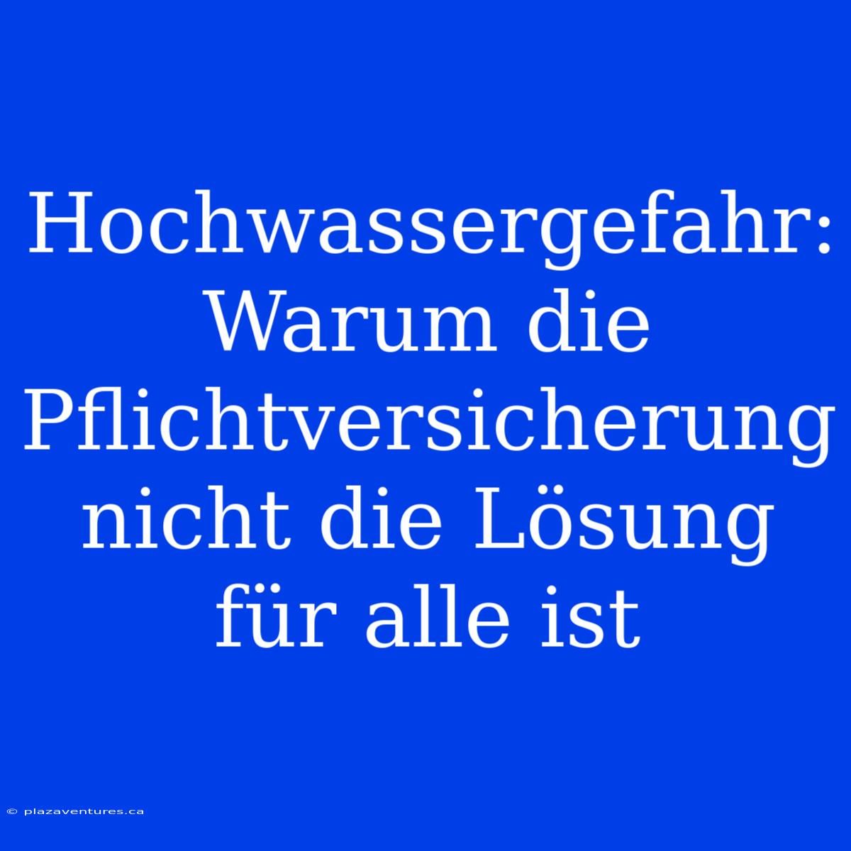 Hochwassergefahr: Warum Die Pflichtversicherung Nicht Die Lösung Für Alle Ist