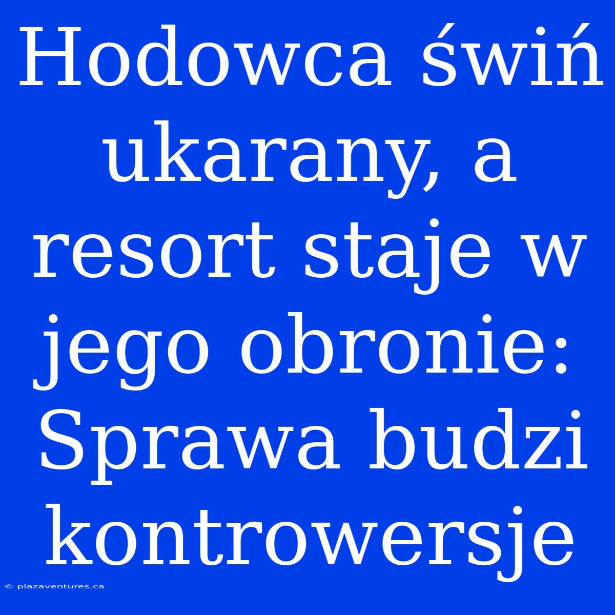 Hodowca Świń Ukarany, A Resort Staje W Jego Obronie:  Sprawa Budzi Kontrowersje