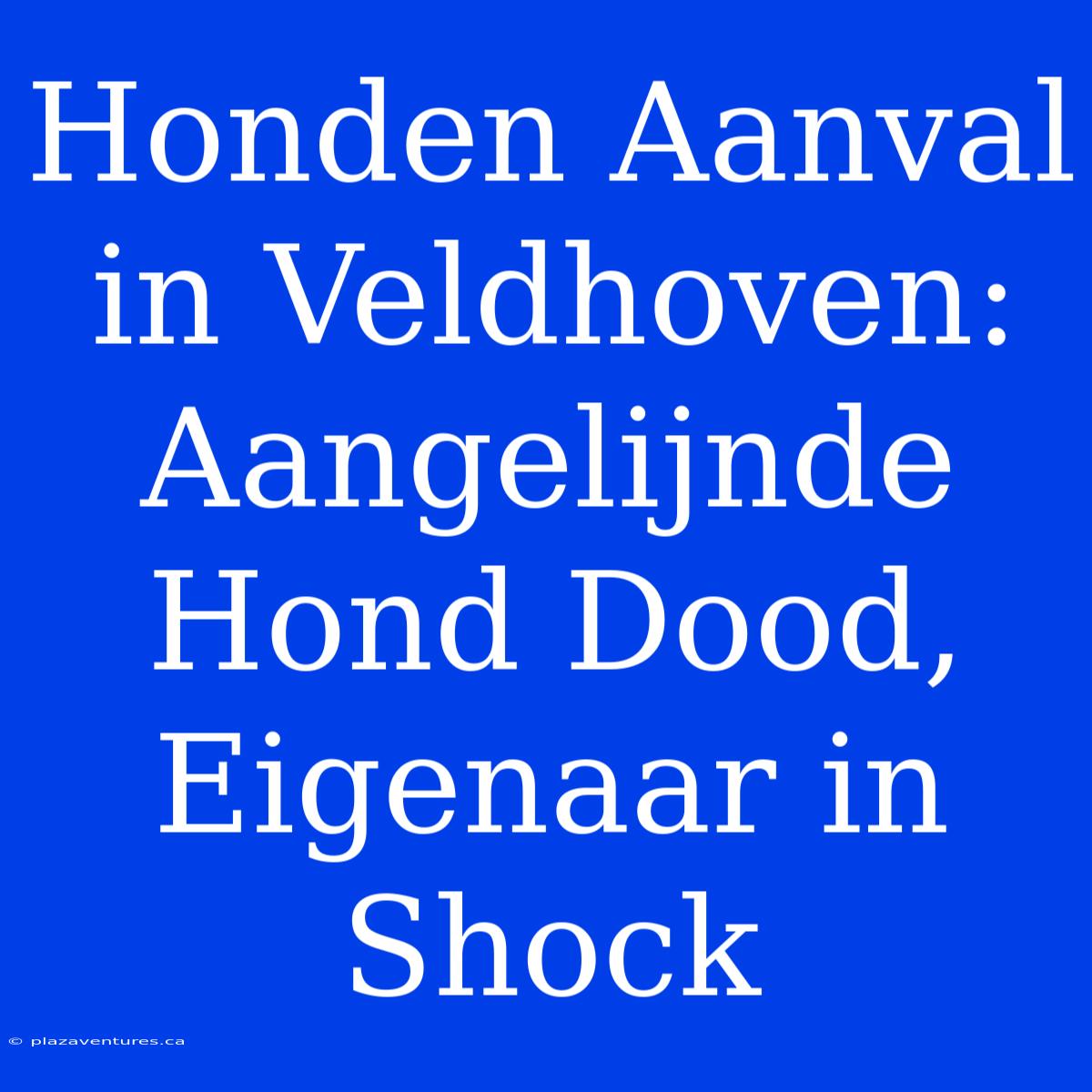 Honden Aanval In Veldhoven: Aangelijnde Hond Dood, Eigenaar In Shock