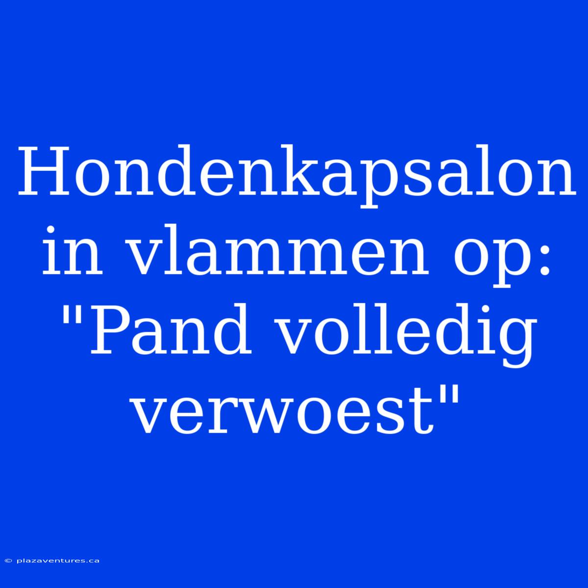 Hondenkapsalon In Vlammen Op: 