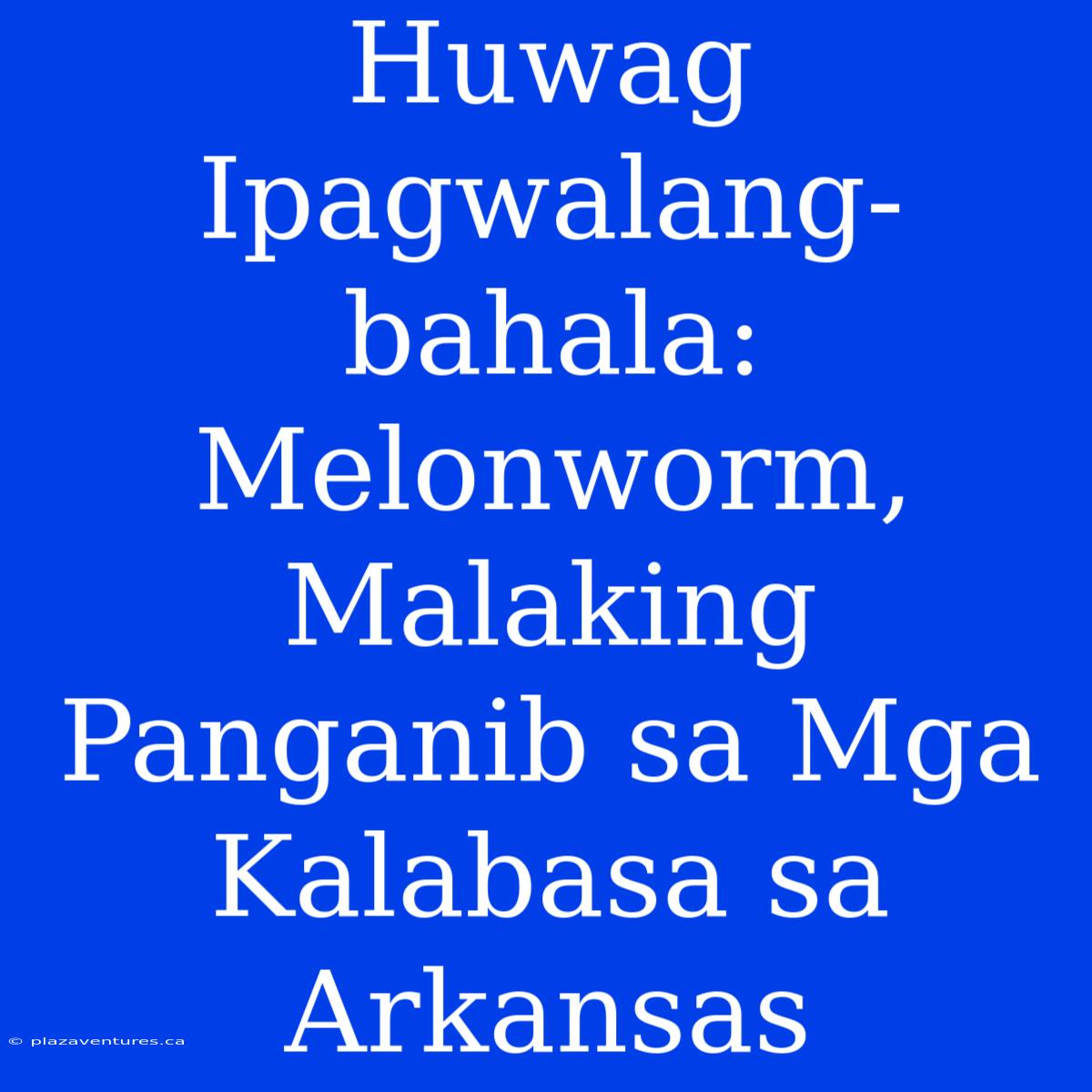 Huwag Ipagwalang-bahala: Melonworm, Malaking Panganib Sa Mga Kalabasa Sa Arkansas