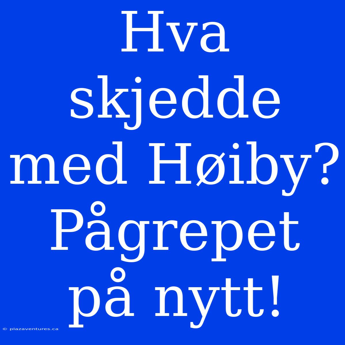 Hva Skjedde Med Høiby? Pågrepet På Nytt!