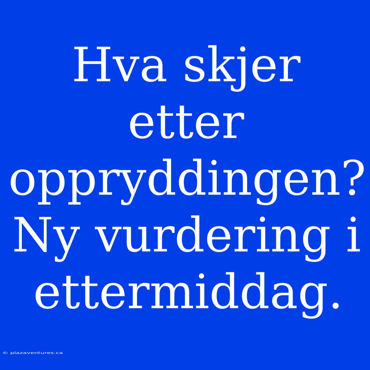 Hva Skjer Etter Oppryddingen? Ny Vurdering I Ettermiddag.