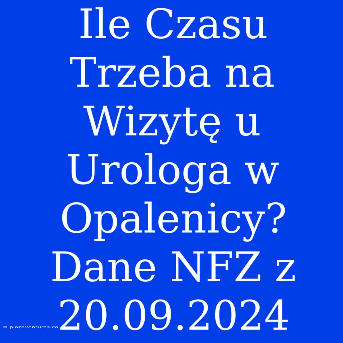 Ile Czasu Trzeba Na Wizytę U Urologa W Opalenicy? Dane NFZ Z 20.09.2024