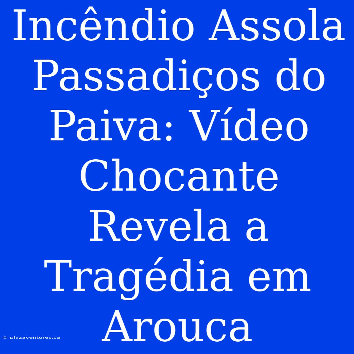 Incêndio Assola Passadiços Do Paiva: Vídeo Chocante Revela A Tragédia Em Arouca