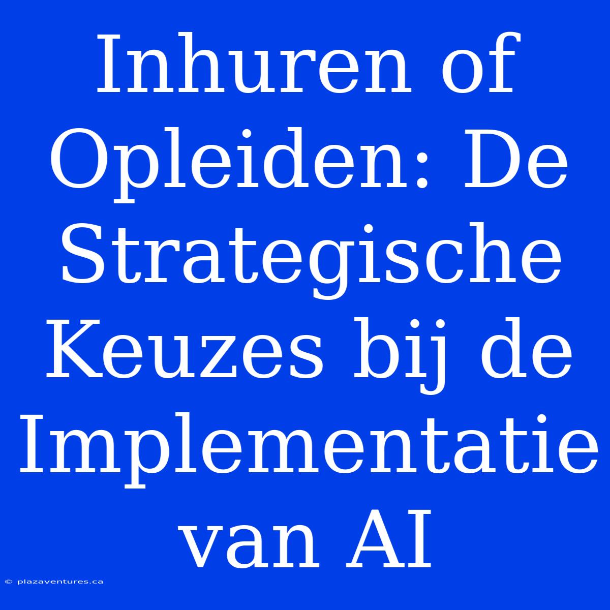 Inhuren Of Opleiden: De Strategische Keuzes Bij De Implementatie Van AI