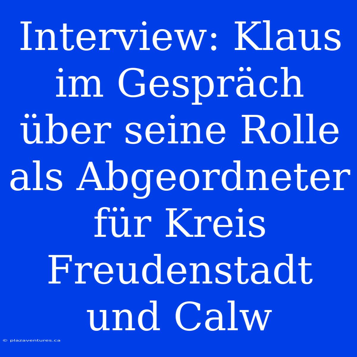 Interview: Klaus Im Gespräch Über Seine Rolle Als Abgeordneter Für Kreis Freudenstadt Und Calw