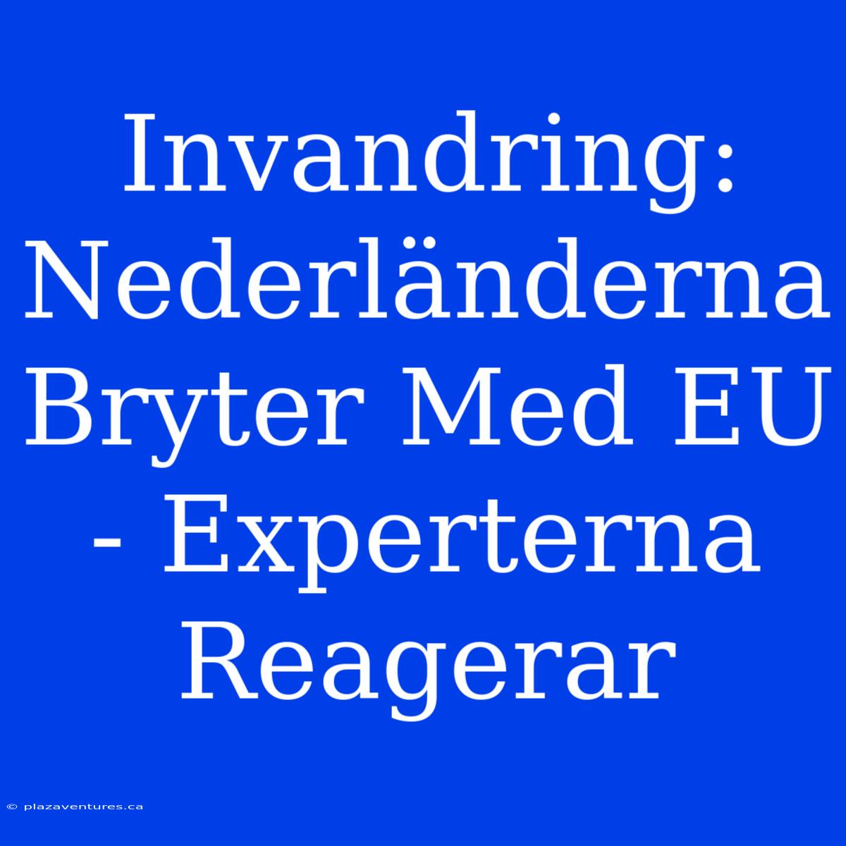 Invandring: Nederländerna Bryter Med EU - Experterna Reagerar