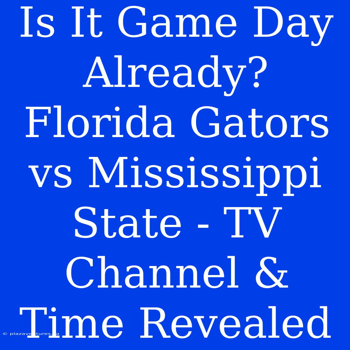 Is It Game Day Already? Florida Gators Vs Mississippi State - TV Channel & Time Revealed