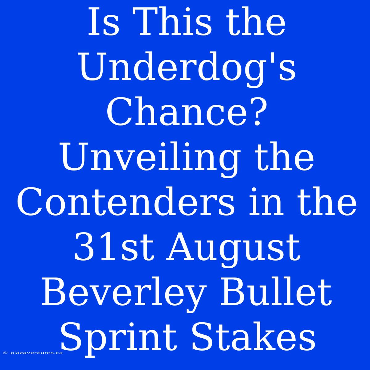 Is This The Underdog's Chance? Unveiling The Contenders In The 31st August Beverley Bullet Sprint Stakes