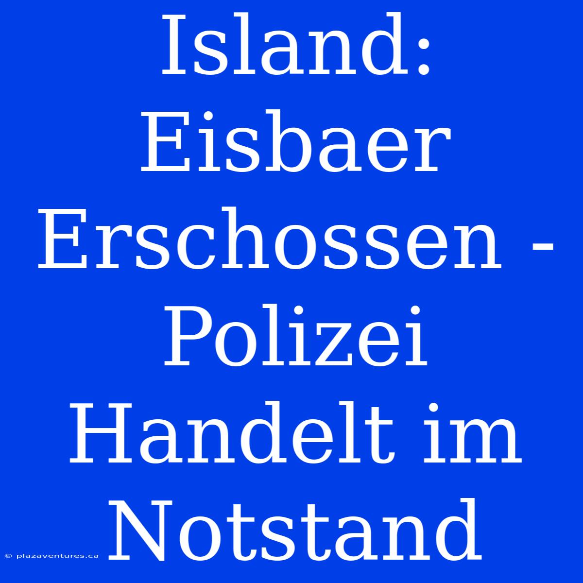 Island: Eisbaer Erschossen - Polizei Handelt Im Notstand