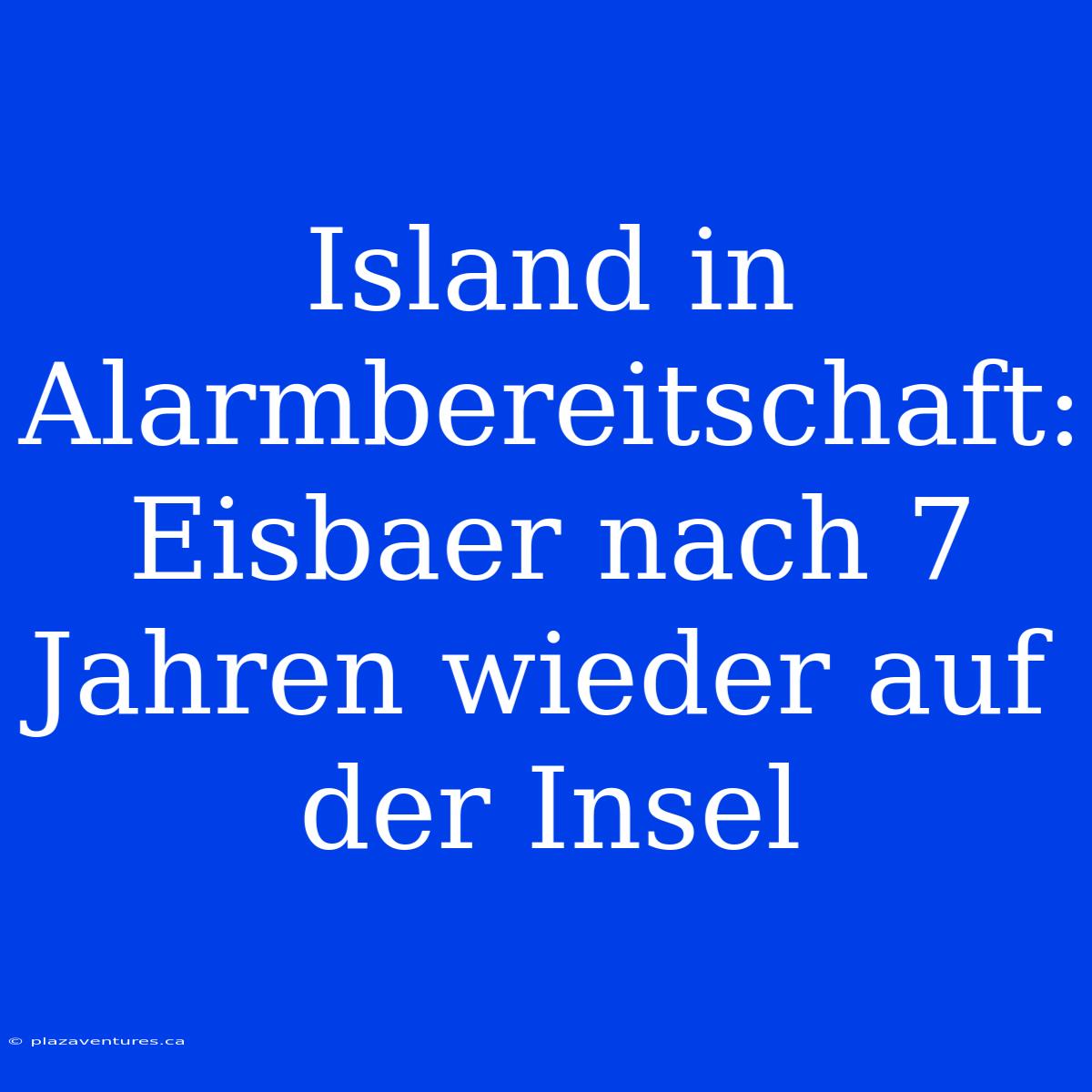 Island In Alarmbereitschaft: Eisbaer Nach 7 Jahren Wieder Auf Der Insel