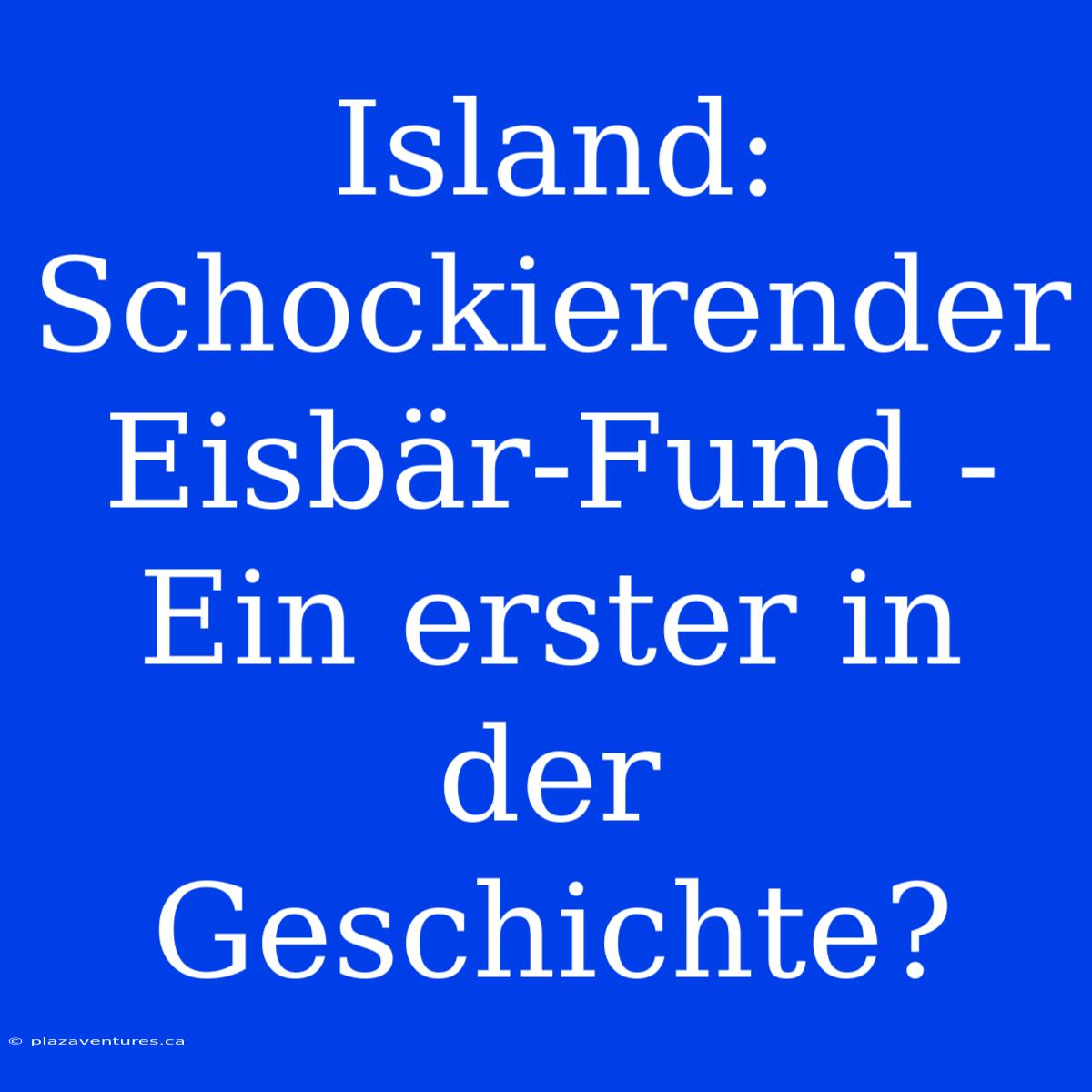 Island: Schockierender Eisbär-Fund - Ein Erster In Der Geschichte?