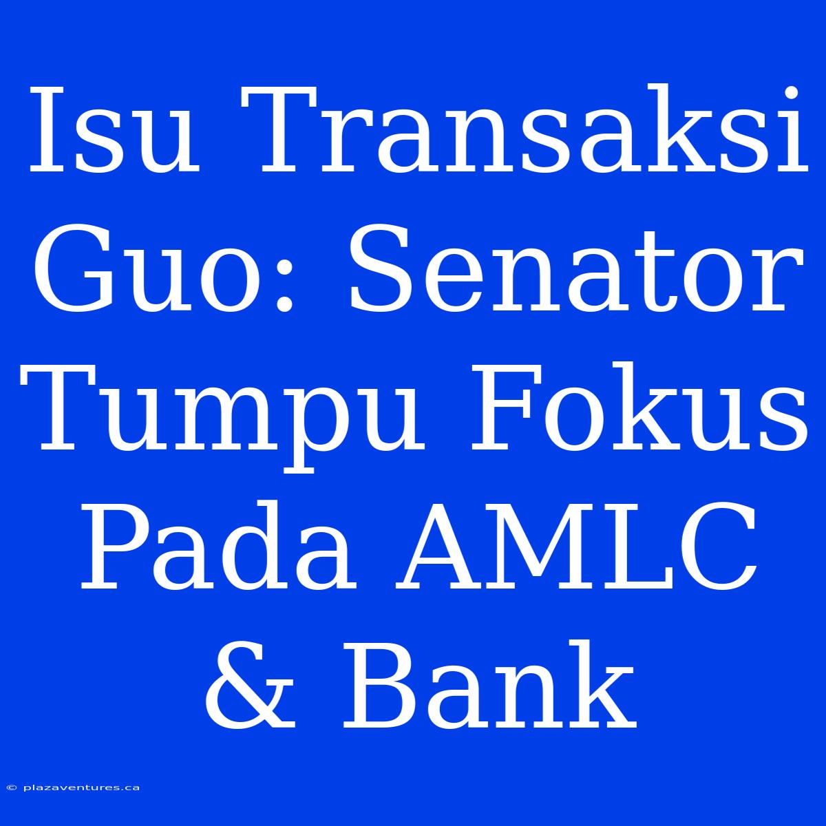 Isu Transaksi Guo: Senator Tumpu Fokus Pada AMLC & Bank