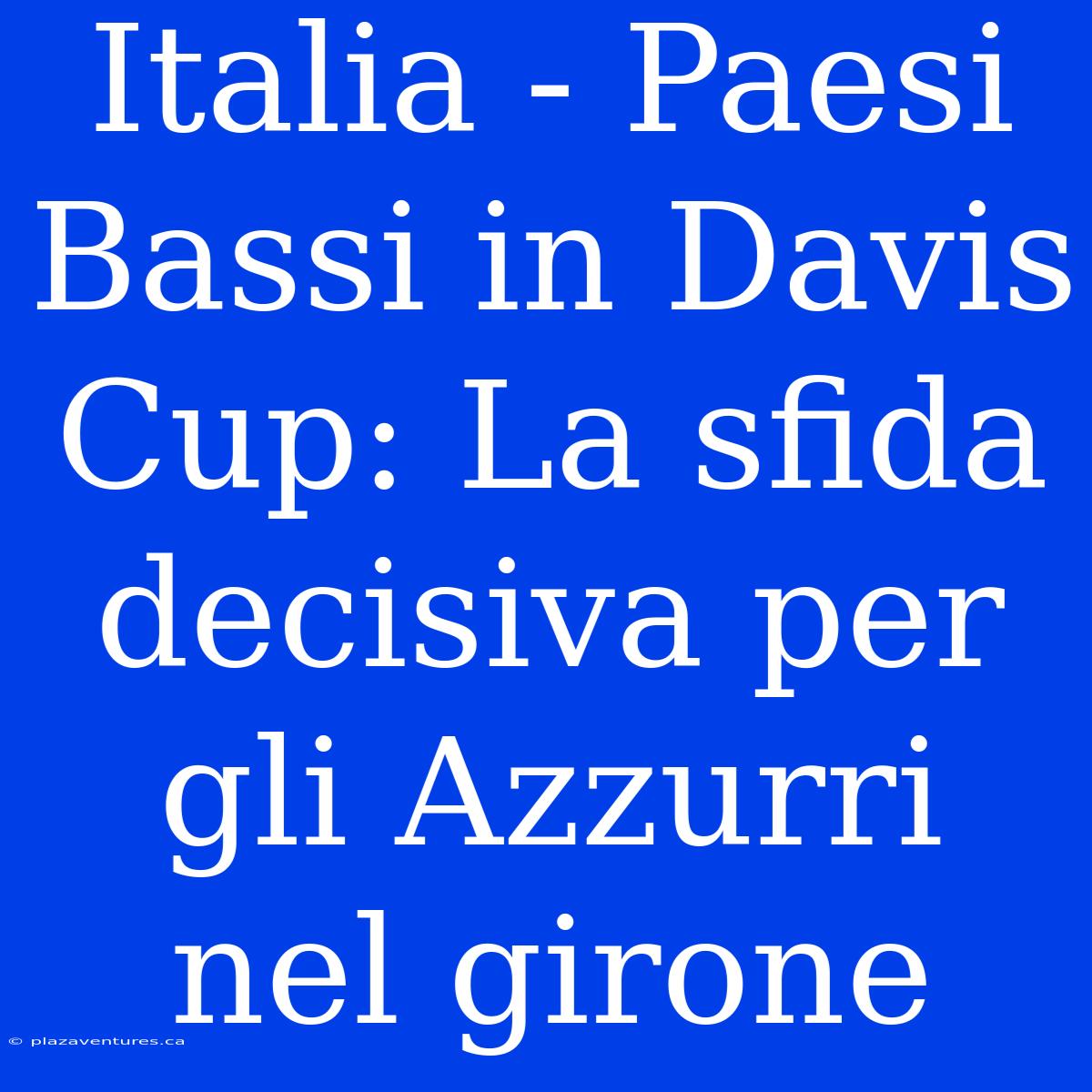 Italia - Paesi Bassi In Davis Cup: La Sfida Decisiva Per Gli Azzurri Nel Girone