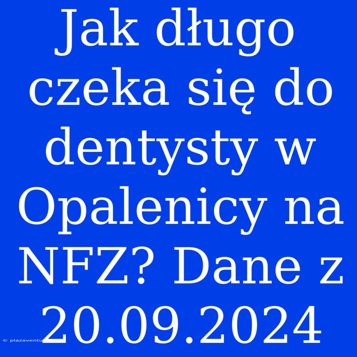 Jak Długo Czeka Się Do Dentysty W Opalenicy Na NFZ? Dane Z 20.09.2024