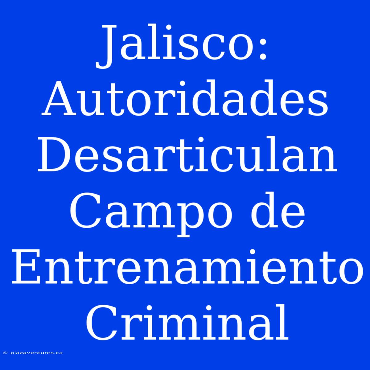 Jalisco: Autoridades Desarticulan Campo De Entrenamiento Criminal