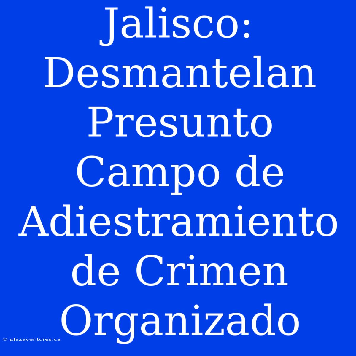 Jalisco: Desmantelan Presunto Campo De Adiestramiento De Crimen Organizado