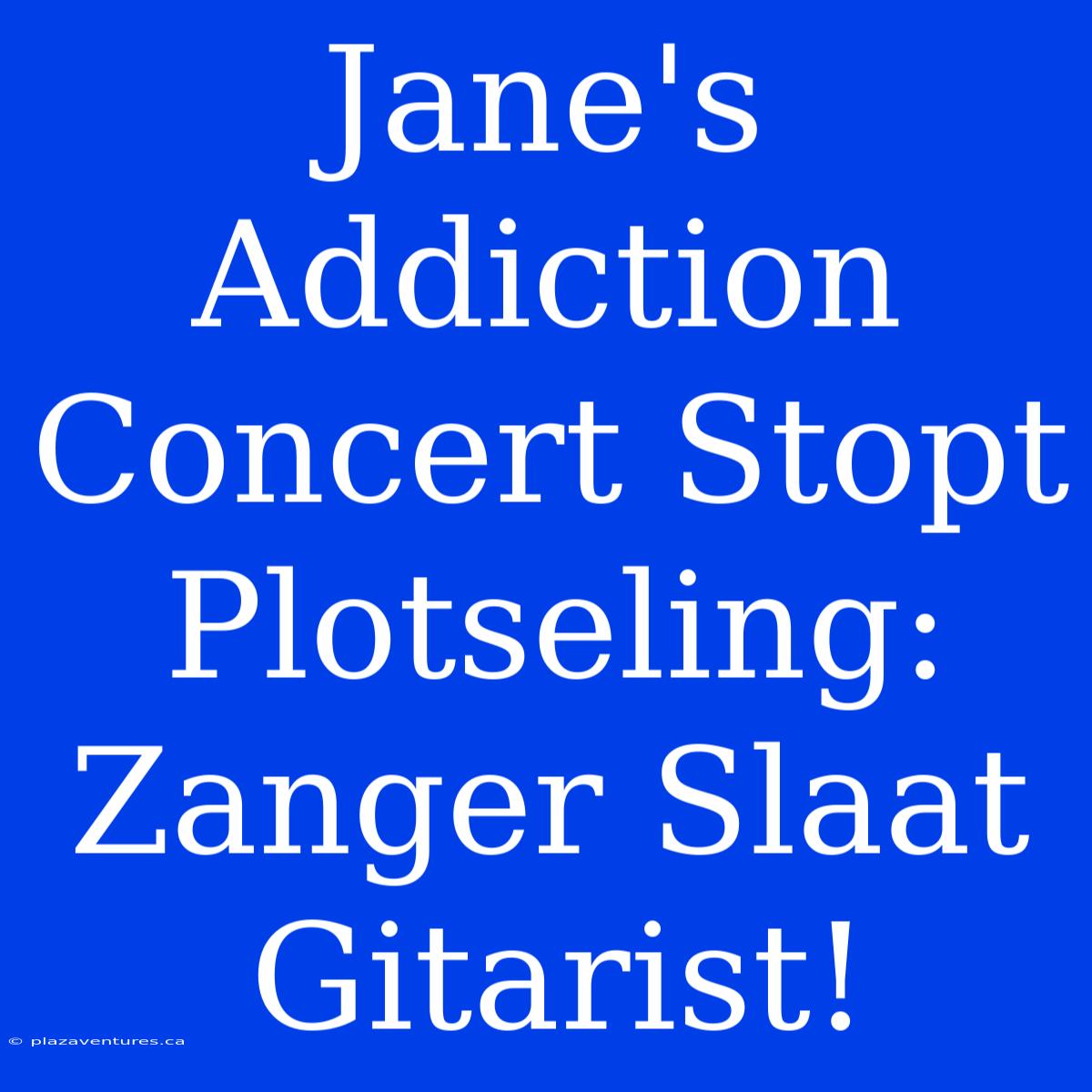 Jane's Addiction Concert Stopt Plotseling: Zanger Slaat Gitarist!