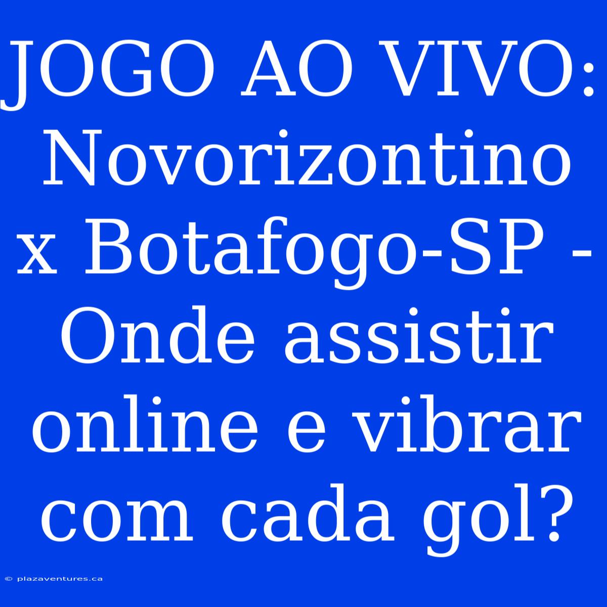 JOGO AO VIVO: Novorizontino X Botafogo-SP - Onde Assistir Online E Vibrar Com Cada Gol?