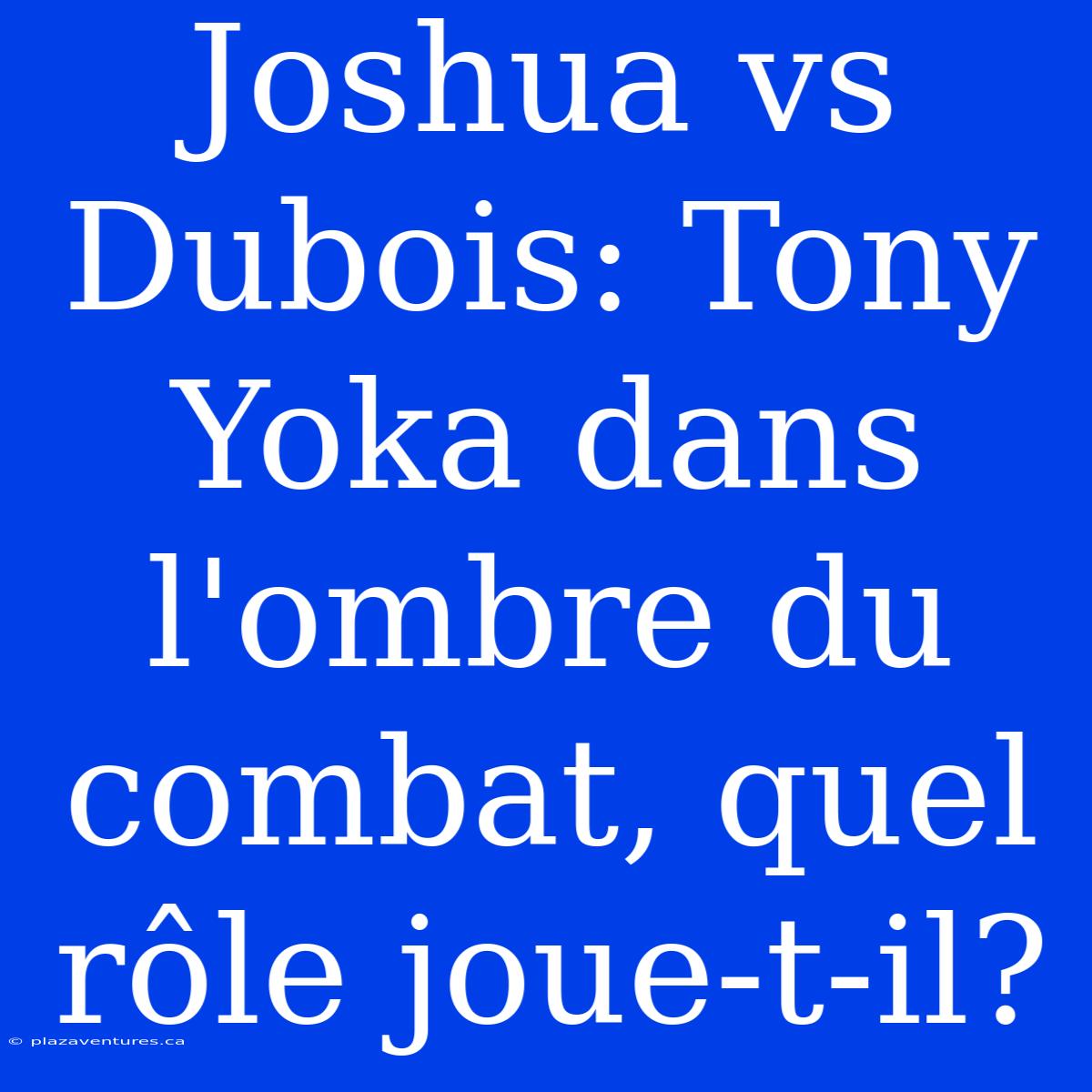 Joshua Vs Dubois: Tony Yoka Dans L'ombre Du Combat, Quel Rôle Joue-t-il?