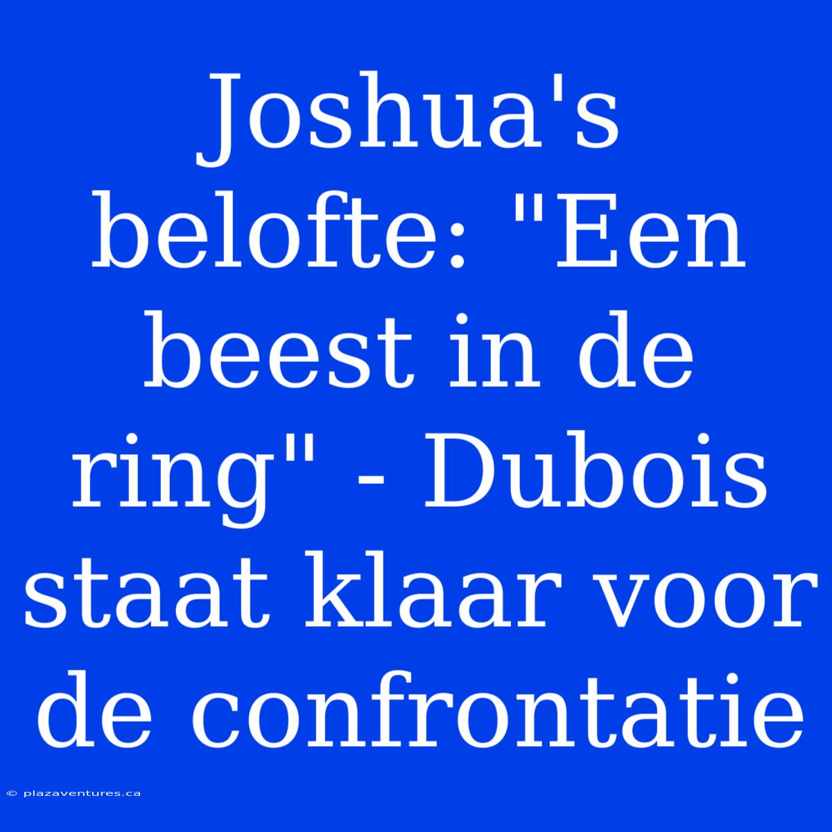 Joshua's Belofte: 