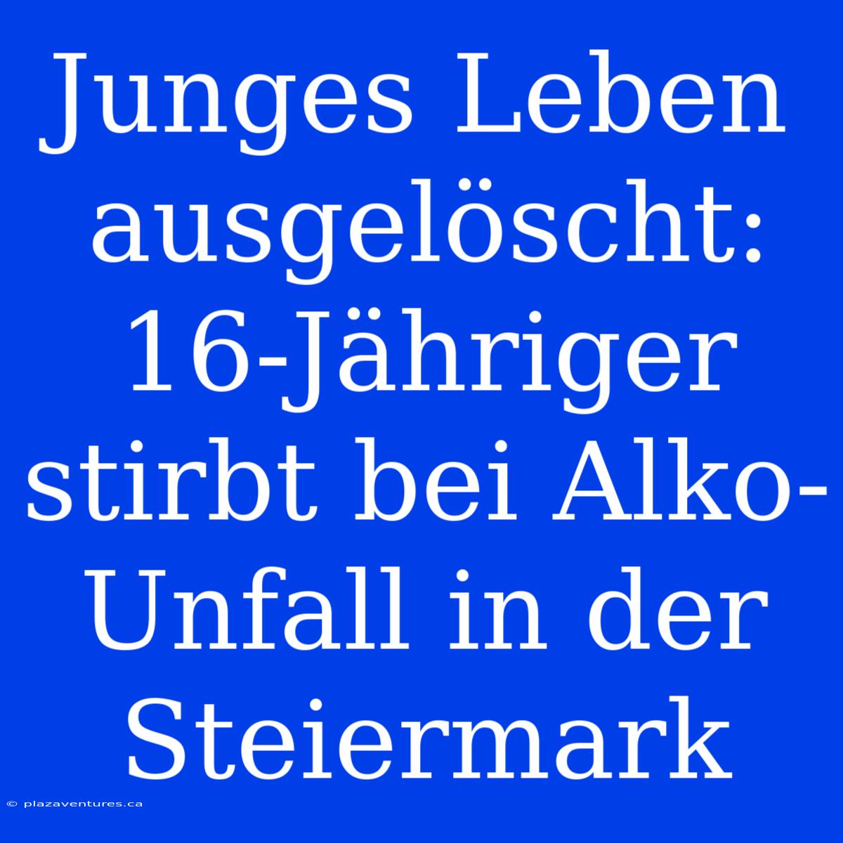 Junges Leben Ausgelöscht: 16-Jähriger Stirbt Bei Alko-Unfall In Der Steiermark