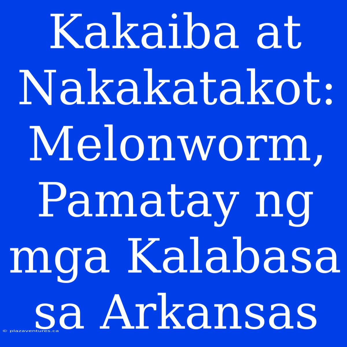 Kakaiba At Nakakatakot: Melonworm, Pamatay Ng Mga Kalabasa Sa Arkansas