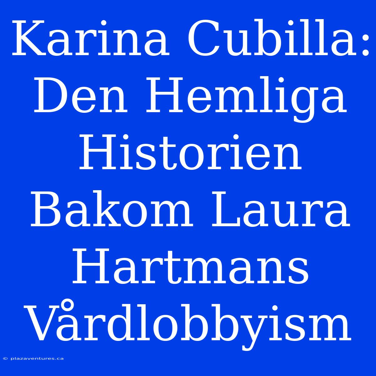 Karina Cubilla: Den Hemliga Historien Bakom Laura Hartmans Vårdlobbyism