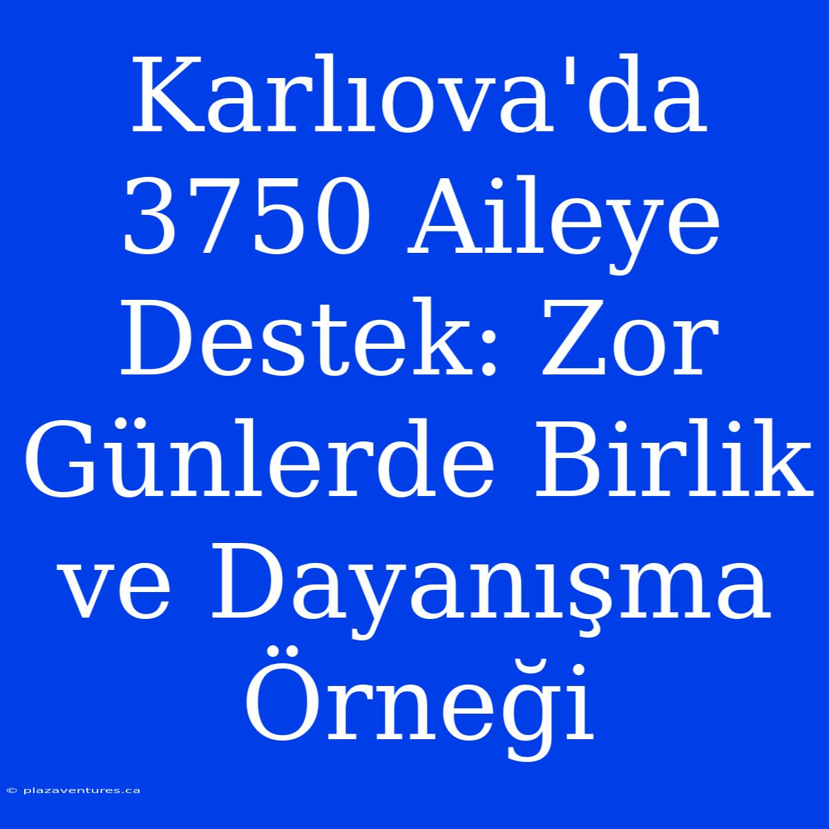 Karlıova'da 3750 Aileye Destek: Zor Günlerde Birlik Ve Dayanışma Örneği